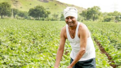 Sustainable Farming In India