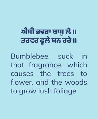 A Passionate Affair with Trees