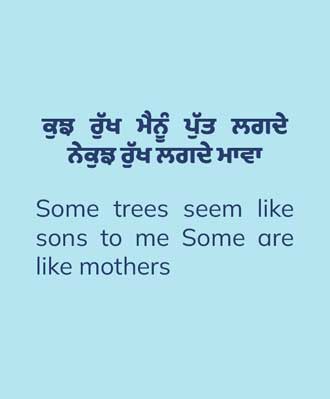 A Passionate Affair with Trees